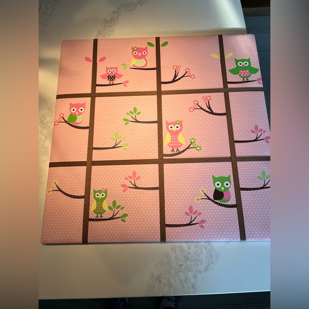 Two matching pink & green owl memo/bulletin board.  Will sell separately.